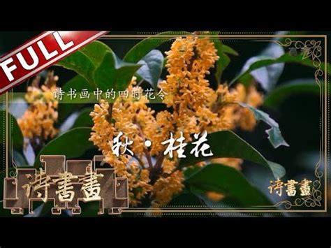 桂花象徵意義|桂花